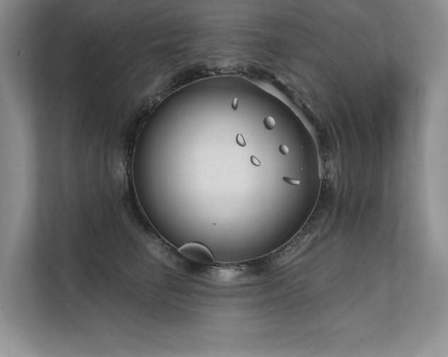 X0000111670662200907171614