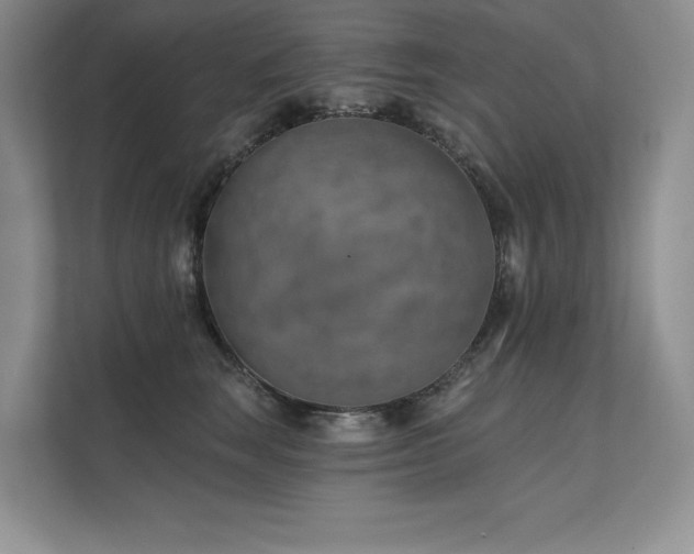 X0000111670663200907171614