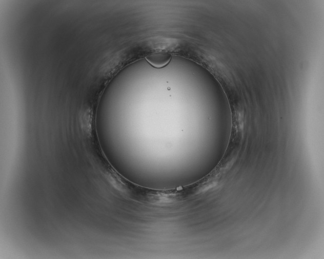 X0000111670664200907171614