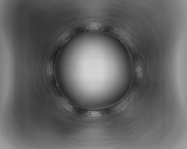 X0000111670665200907171614