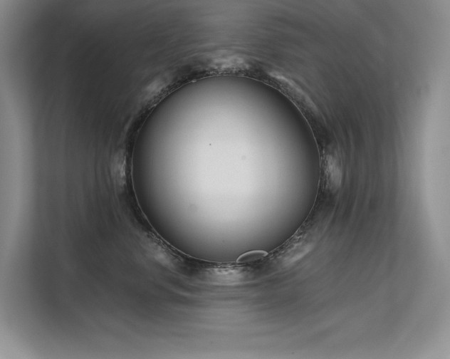 X0000111670668200907171614