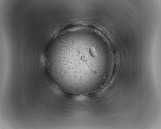 X0000111670669200907171615