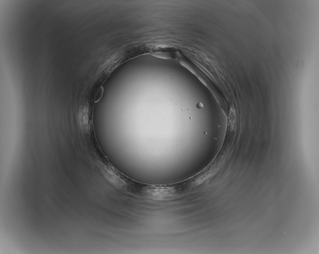 X0000111670670200907171615