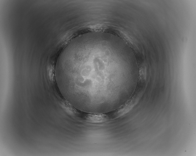 X0000111670671200907171615