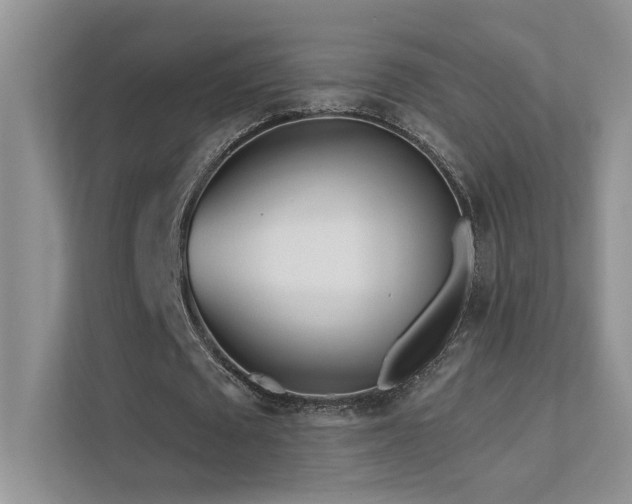 X0000111670673200907171614