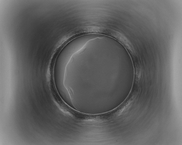 X0000111670674200907171614