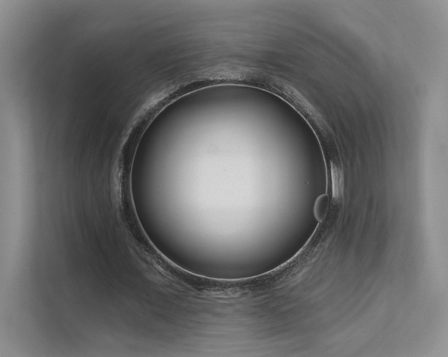 X0000111670675200907171614