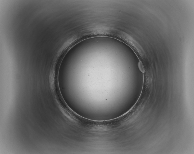 X0000111670677200907171614