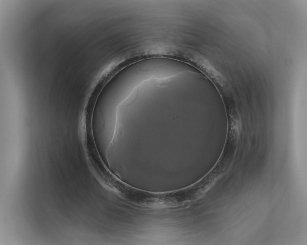 X0000111670678200907171614