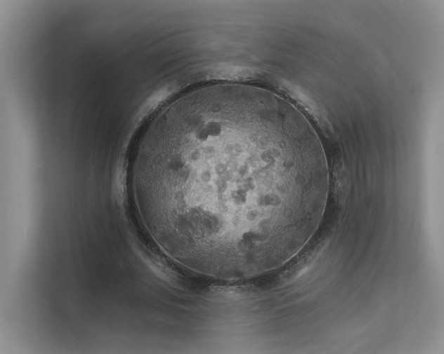 X0000111670679200907171614