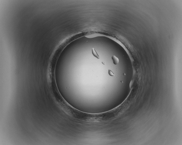 X0000111670680200907171614