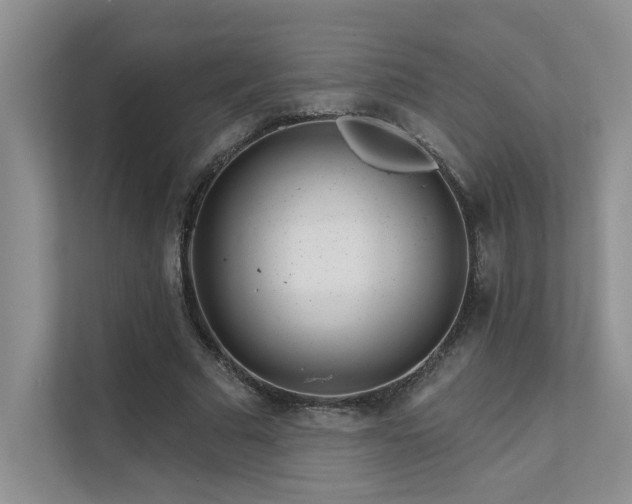 X0000111670681200907171614