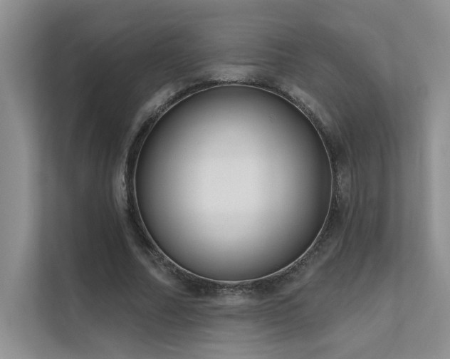 X0000111670682200907171614