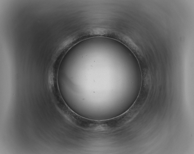 X0000111670683200907171614