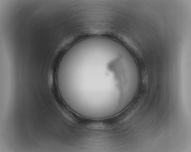 X0000111670685200907171614