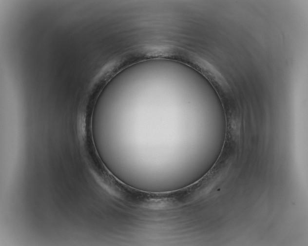 X0000111670686200907171614