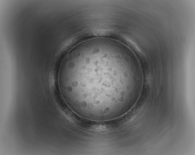 X0000111670687200907171614