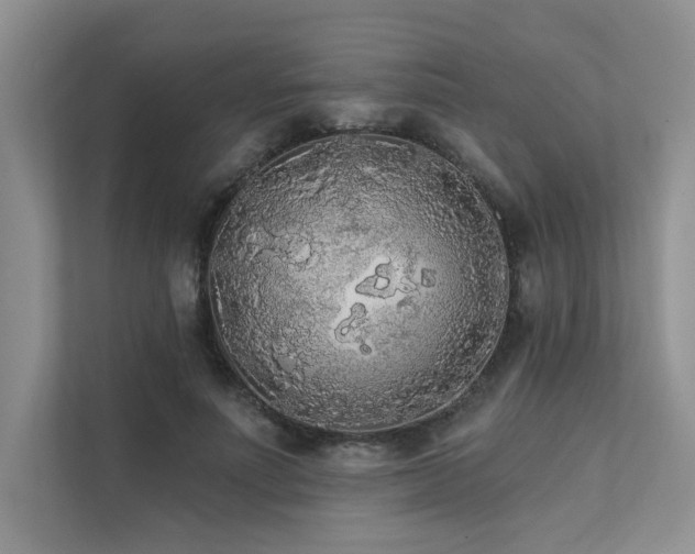 X0000111670691200907171614