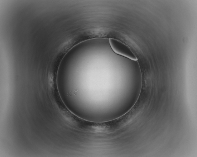 X0000111670693200907171614