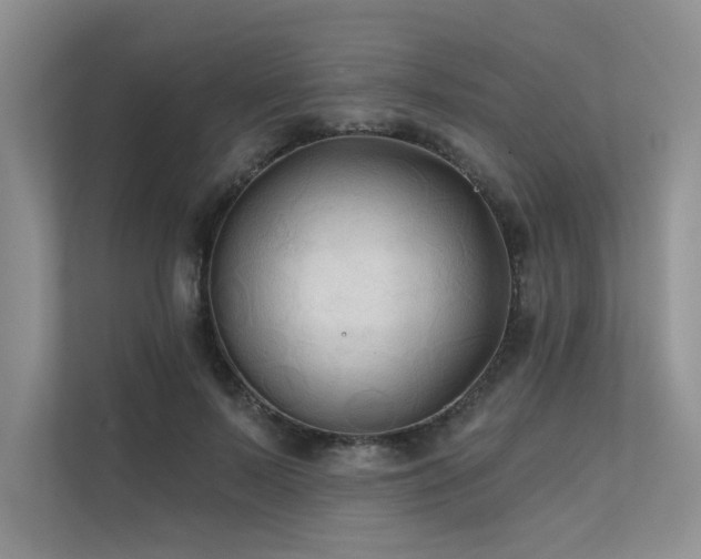 X0000111670695200907171614