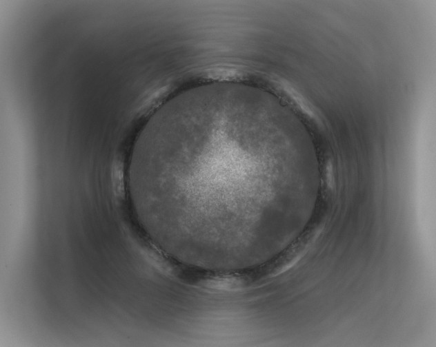 X0000111670696200907171614