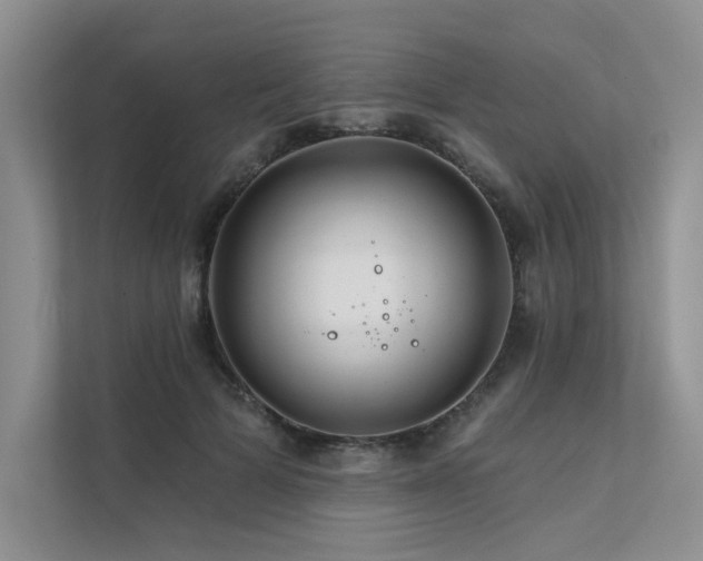 X0000111670697200907171614