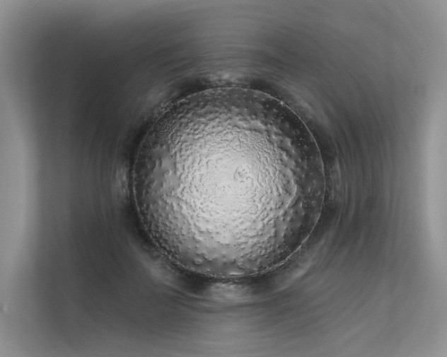 X0000111670699200907171614