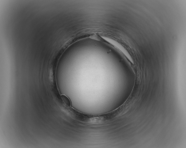 X0000111670700200907171614