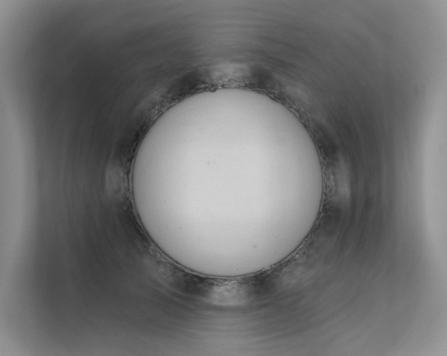 X0000111670705200907171614