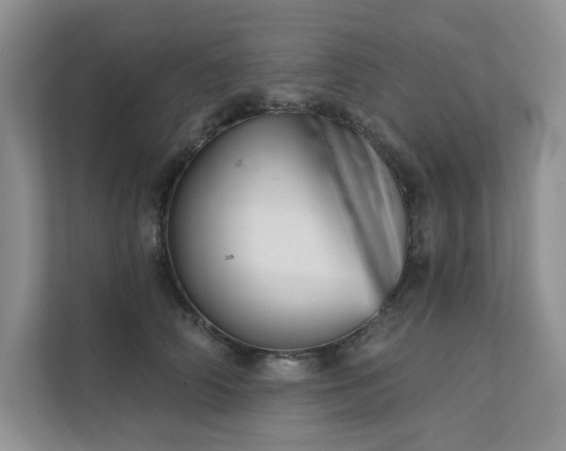 X0000111670706200907171613