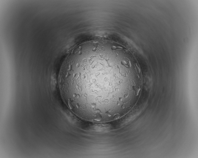 X0000111670707200907171613