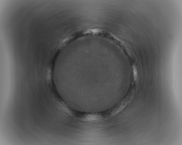 X0000111670708200907171613