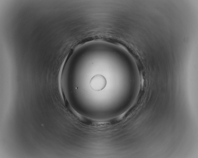 X0000111670709200907171613