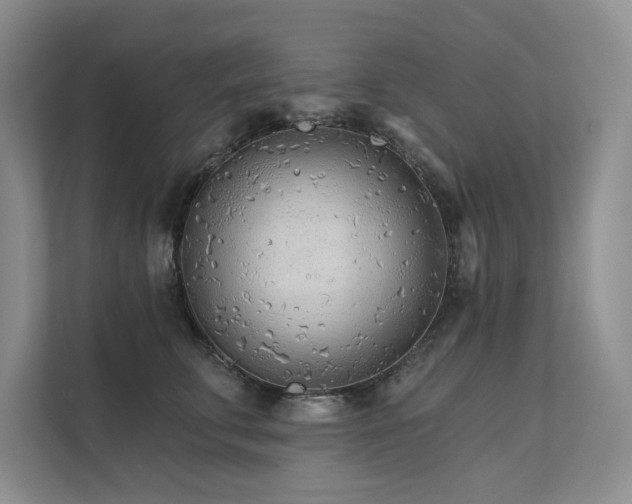 X0000111670711200907171613