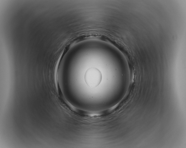 X0000111670712200907171613