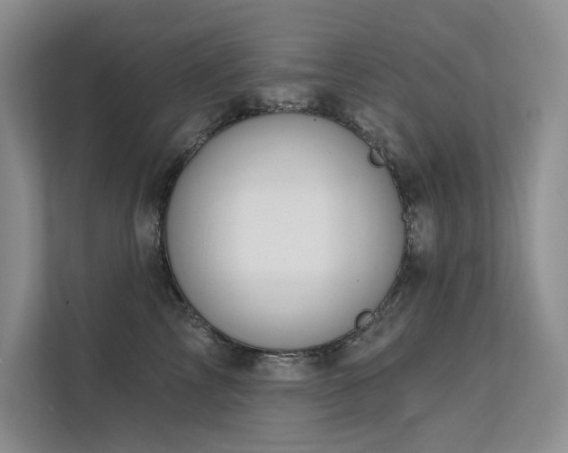 X0000111670713200907171613