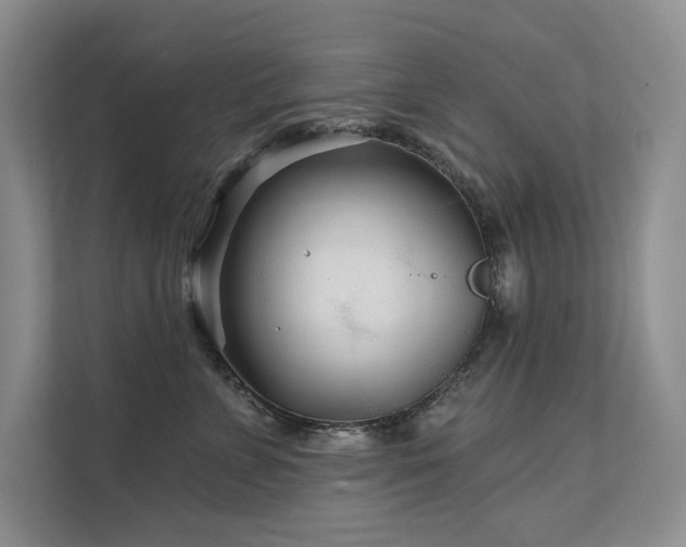 X0000111670715200907171613