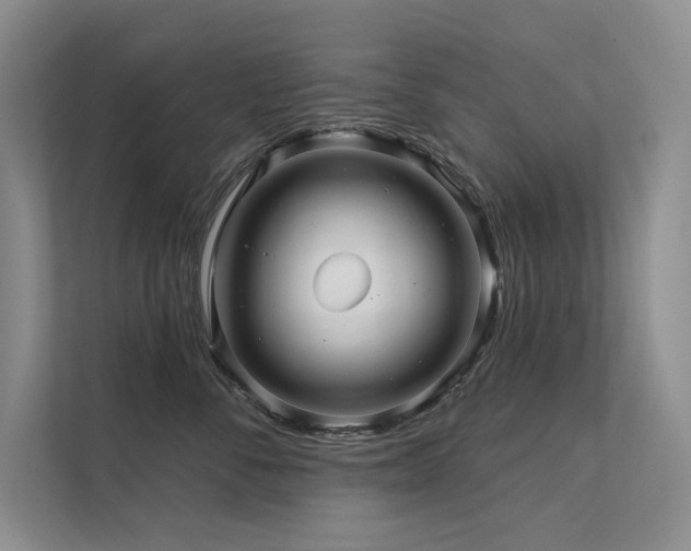 X0000111670716200907171613