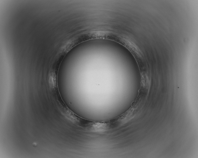 X0000111670718200907171613