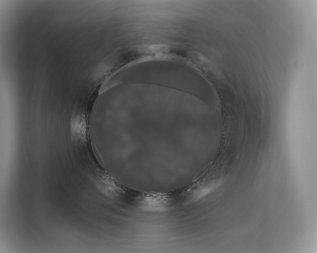 X0000111670720200907171613