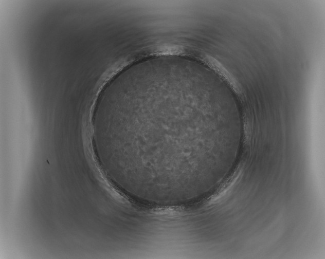 X0000111670721200907171613