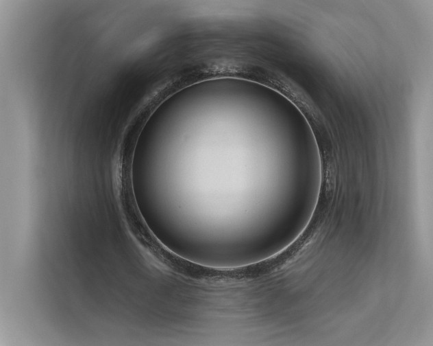 X0000111670722200907171613