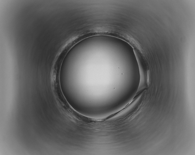 X0000111670723200907171613