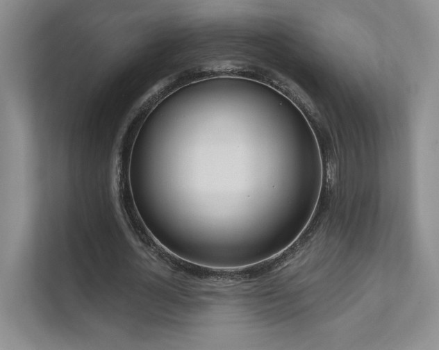 X0000111670724200907171613