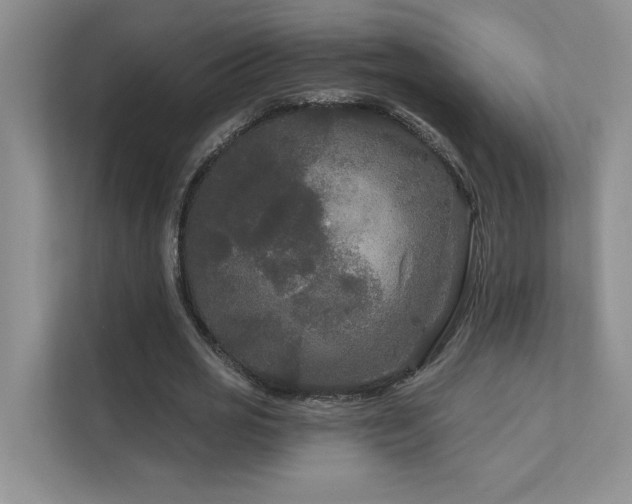 X0000111670725200907171613