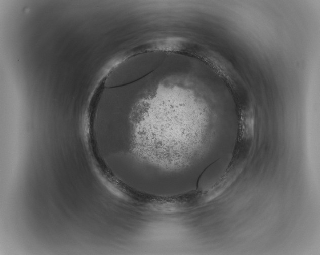 X0000111670726200907171613