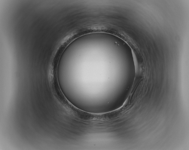 X0000111670727200907171613