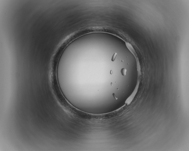 X0000111670728200907171613