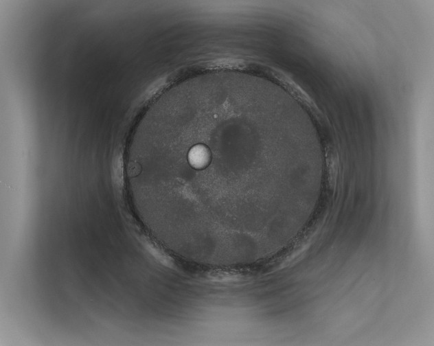 X0000111670729200907171613