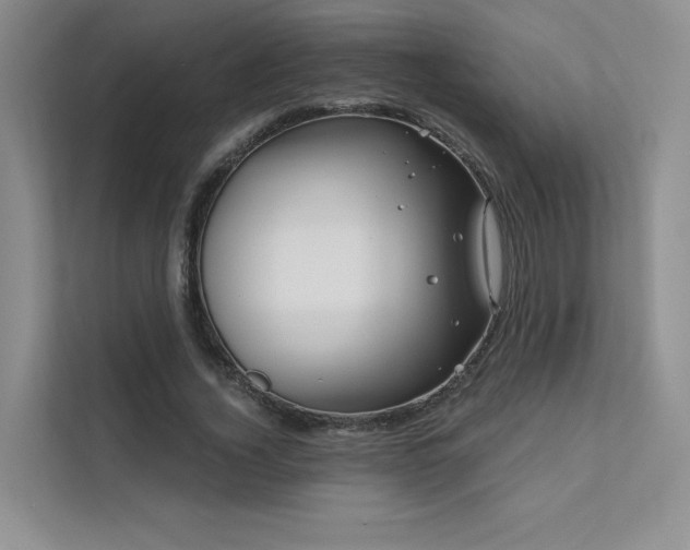 X0000111670732200907171613